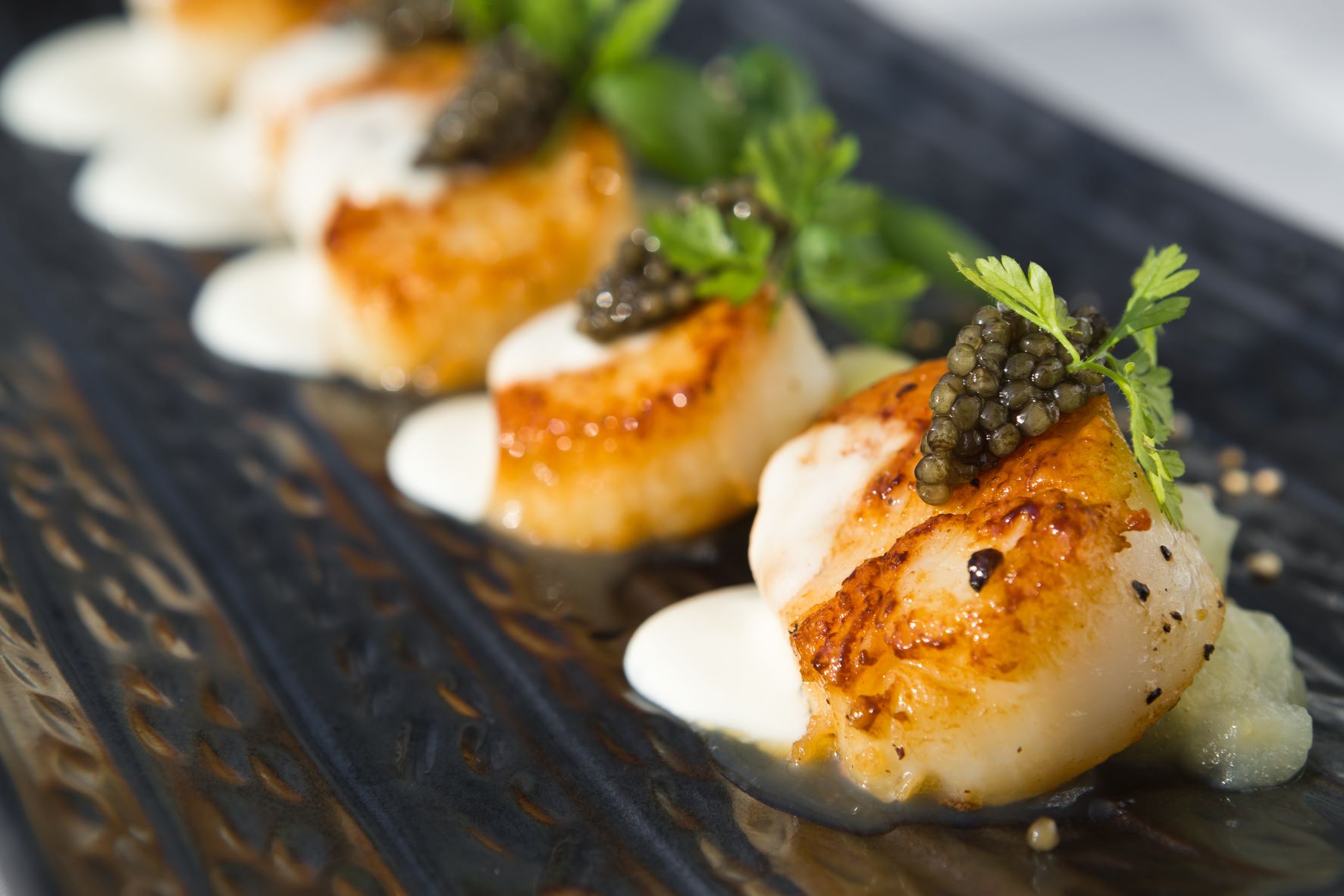 Scallops with caviar Thesauri Caviar